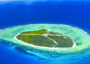 Lady Elliot Island Eco Resort - Lady Elliot Island Tours & Byron Bay Day Tours