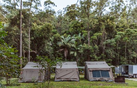 Bower Camp Co at Sheepstation Creek Camp